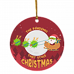 The Pandemic That Stole Christmas 2020 Decorative Christmas Ornament - Holiday Flat Circle Ornament, White, Circle Ornament