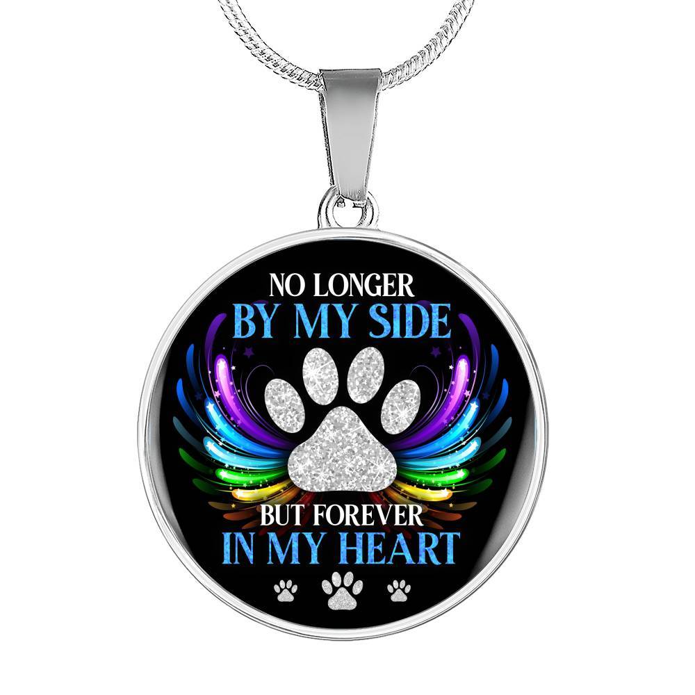 No Longer By My Side But Forever In My Heart Pet Memorial Circle Pendant Necklace - Pet Memorial Jewelry - Circle Luxury Necklace (Silver)