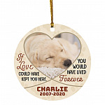 Customized Photo If Love Could Have, White, Circle Ornament