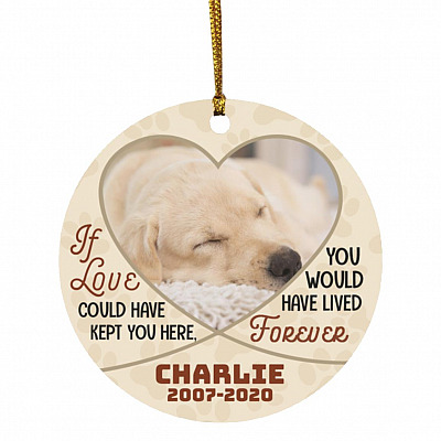 Customized Photo If Love Could Have, White, Circle Ornament