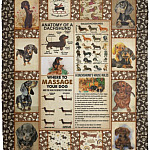 Dachshund Knowledge, White, Cozy Plush Fleece Blanket - 50x60