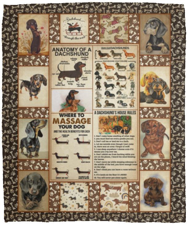 Dachshund Knowledge, White, Cozy Plush Fleece Blanket - 50x60