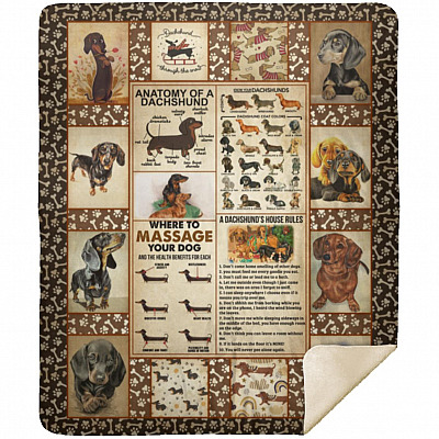 Premium Mink Sherpa Blanket - 50x60