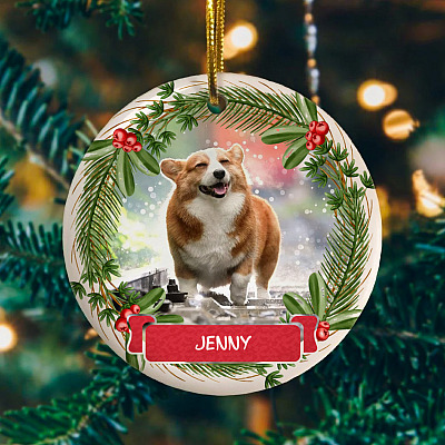 Personalized Custom Photo Dog Cat Pet Christmas Circle Ornament With Name For Your Fur Baby