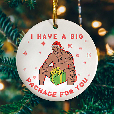 I Have A Big Package For You Christmas 2020 Decorative Ornament - Funny Barry Gift Wood Meme Xmas Keepsake