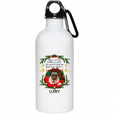 20 oz. Stainless Water Bottle