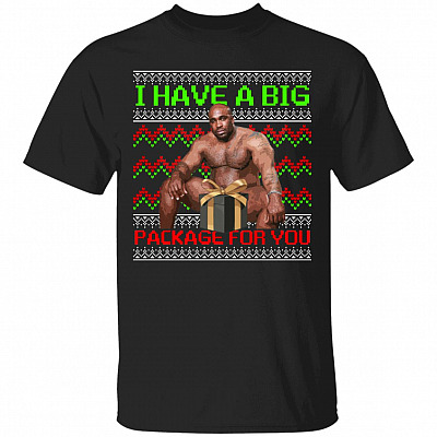 I Have a Big Package for You Barry Wood Ugly Christmas T-Shirt - Funny Barry Meme Christmas Shirt, Black, Unisex T-Shirt