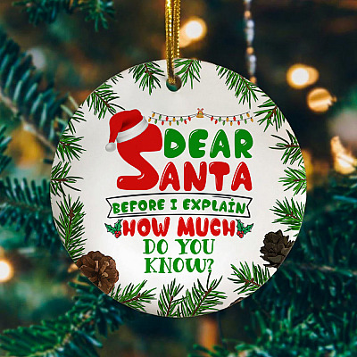 Dear Santa Before I Explain How Much Do You Know Christmas Ornament Keepsake - Holiday Ornament