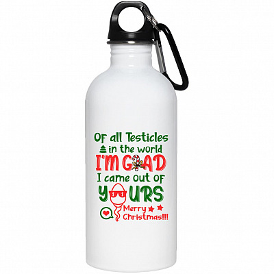20 oz. Stainless Water Bottle