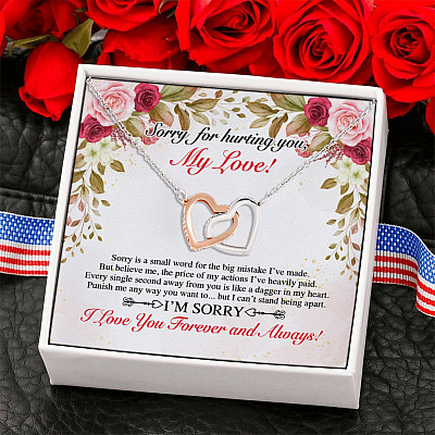 Sorry for Hurting My Love Apolgize Wife Girlfriend Gift Interlocking Hearts Pendant Necklace