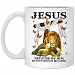 Jesus Because Of Him Heaven Knows, White, 11 oz. White Mug