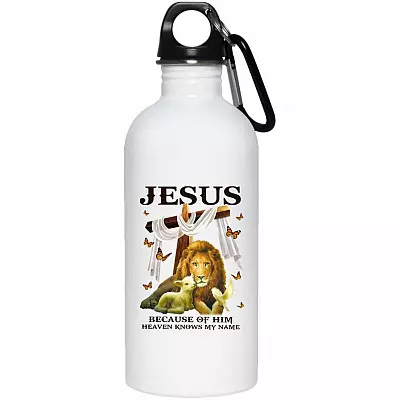 20 oz. Stainless Water Bottle
