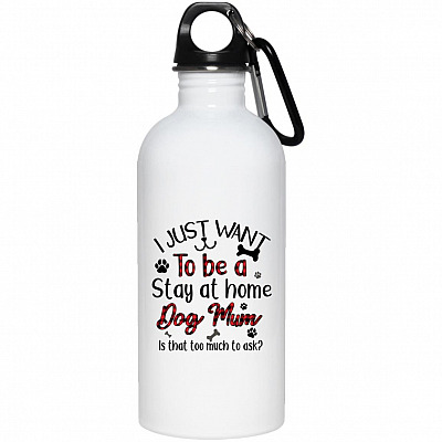20 oz. Stainless Water Bottle