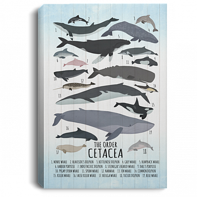 Whale Wall Decor Nursery Gallery Wrapped Framed Canvas - The Order Cetacea Unframed Poster, White, 0.75'' Framed Canvas