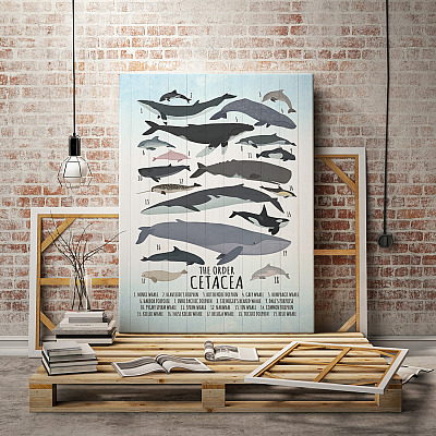 Alternative view of Whale Wall Decor Nursery Gallery Wrapped Framed Canvas - The Order Cetacea Unframed Poster