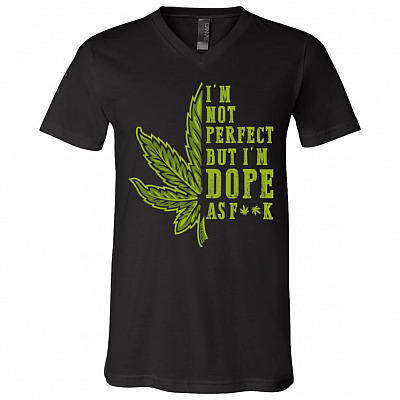 Cannabis Im Not Perfect, Black, V-Neck T-Shirt