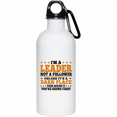 20 oz. Stainless Water Bottle