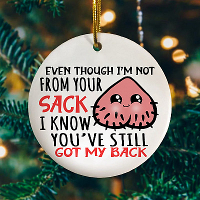 To My Stepdad Even Though I'm Not from Your Sack You Still Got My Back Christmas Ornament-Holiday Flat Circle Ornament