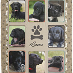 Personalized Photo Dog Blanket, White, Cozy Plush Fleece Blanket - 50x60 Personalized Photo Dog Blanket, White, Cozy Plush Fleece Blanket - 50x60