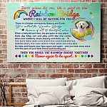 1NH._Dog_Rainbow_2