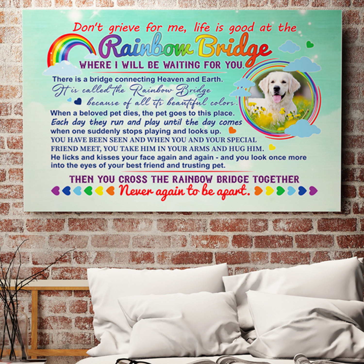 1NH._Dog_Rainbow_2