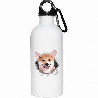 20 oz. Stainless Water Bottle