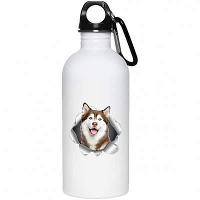 20 oz. Stainless Water Bottle