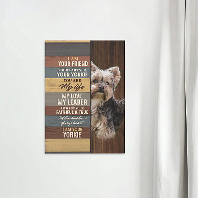 Alternative view of Yorkie I Am Your Friend Your Partner Your Yorkie You Are My Life My Love Framed Canvas - Unframed Poster