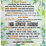 I Am Lucky To Have Friend Like You Blanket, White, Cozy Plush Fleece Blanket - 50x60 I Am Lucky To Have Friend Like You Blanket, White, Cozy Plush Fleece Blanket - 50x60