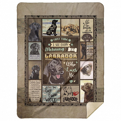 Premium Mink Sherpa Blanket - 60x80