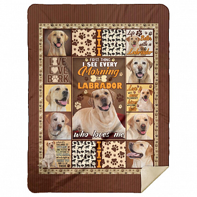 Premium Mink Sherpa Blanket - 60x80