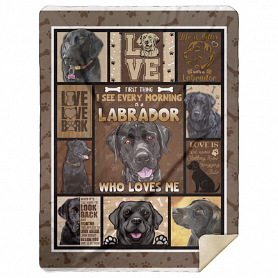 Premium Mink Sherpa Blanket - 60x80