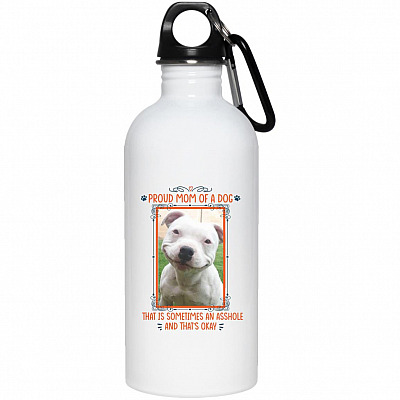 20 oz. Stainless Water Bottle