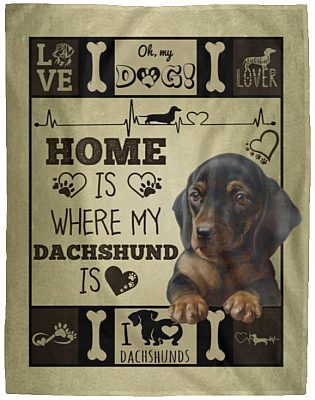 Cozy Plush Fleece Blanket - 60x80