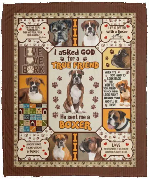 I Asked God For A True Friend He Sent Blanket, White, Cozy Plush Fleece Blanket - 50x60
