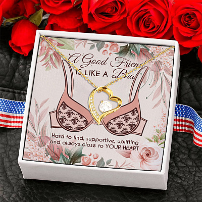 A Good Friend Is Like a Bra Hard to Find Close to My Heart Bff Gift Forever Love Pendant Necklace