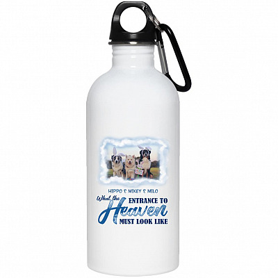 20 oz. Stainless Water Bottle