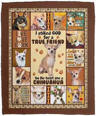 I Asked God For A True Friend Blanket, White, Cozy Plush Fleece Blanket - 50x60
