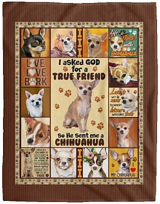 Cozy Plush Fleece Blanket - 60x80