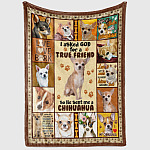 1VT. Chihuahua I Asked God For True Friend blanket mockup2