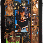 Dachshund Mink Blanket, White, Cozy Plush Fleece Blanket - 50x60