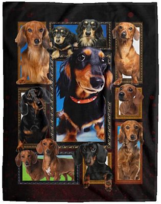 Cozy Plush Fleece Blanket - 60x80