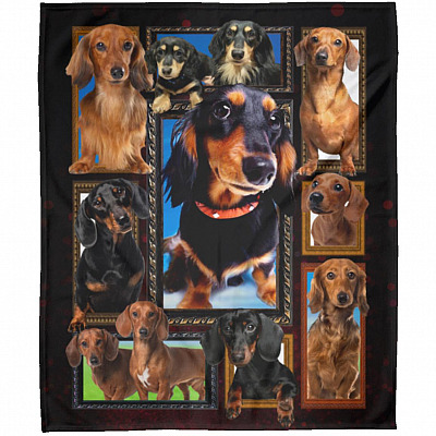 Arctic Fleece Blanket - 50x60