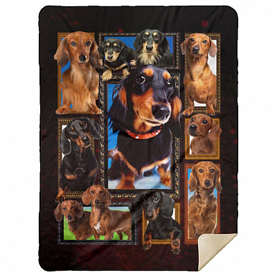 Premium Mink Sherpa Blanket - 60x80