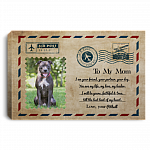 Custom Photo Letter to Dog Mom I'm Your Friend Your Partner Framed Canvas- Unframed Poster, White, 0.75'' Framed Canvas