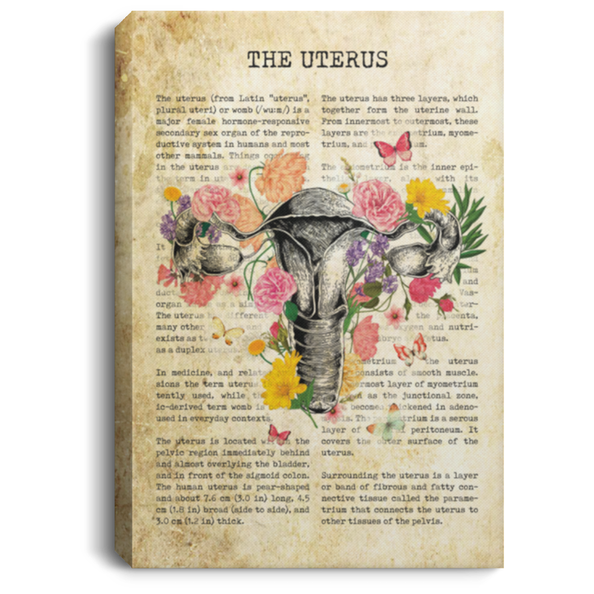 Uterus Gallery Wrapped Framed Canvas Prints-Unframed Poster-Female Reproductive System Home Decor Wall Art, White, 0.75'' Framed Canvas