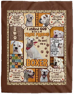 Cozy Plush Fleece Blanket - 60x80