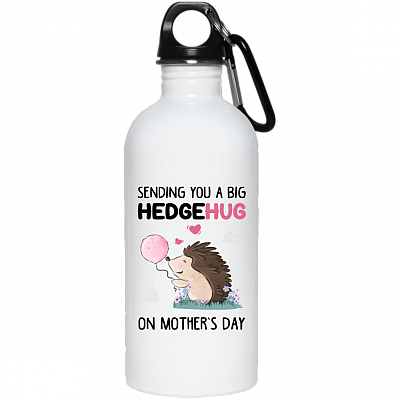 20 oz. Stainless Water Bottle