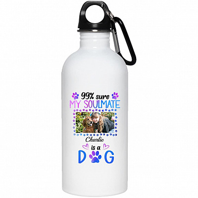 20 oz. Stainless Water Bottle
