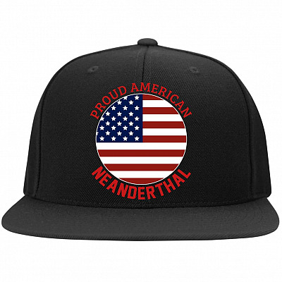Flat Bill Premium Snapback